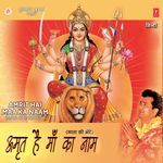 Amrit Hai Maa Ka Naam - Dilip Sen Song Download